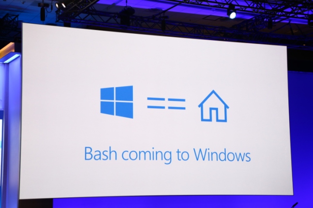 bash-linux-windows